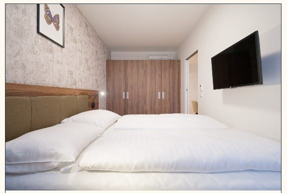 דירות ברובע היהודי בוינה