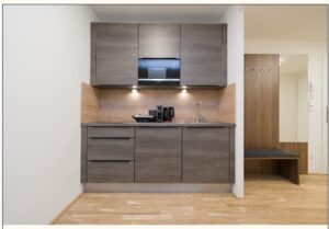 דירות ברובע היהודי בוינה