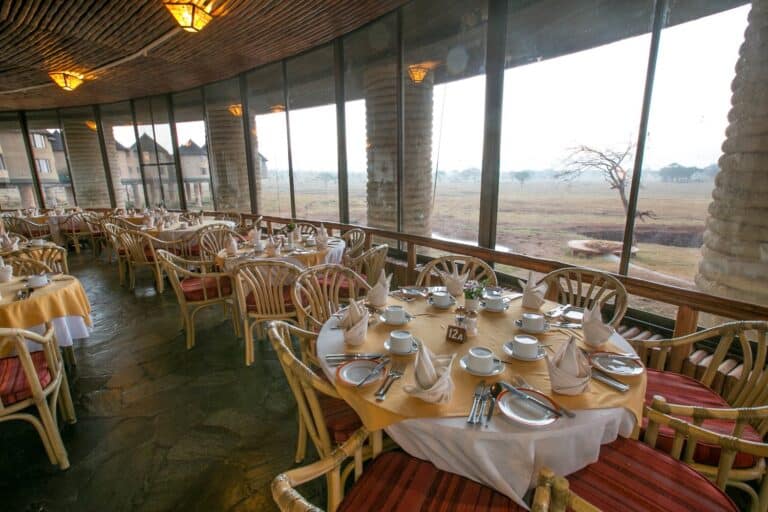 ספארי באפריקה בפסח