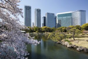 מלונות ליד חבד טוקיו