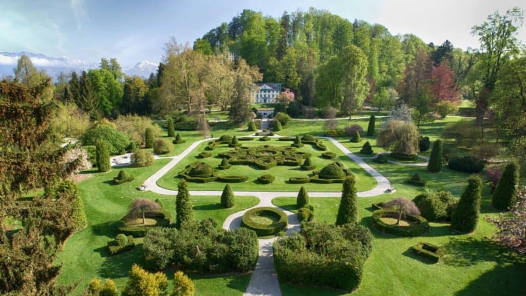 לונות ליד בית חבד לובליאנה