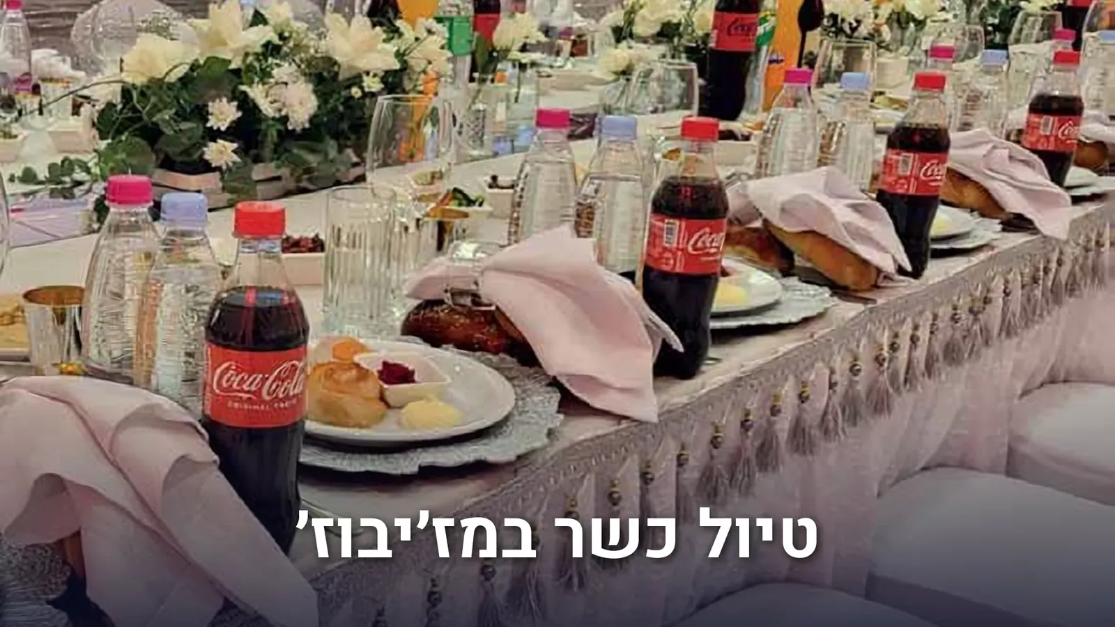 טיול כשר במז'יבוז'