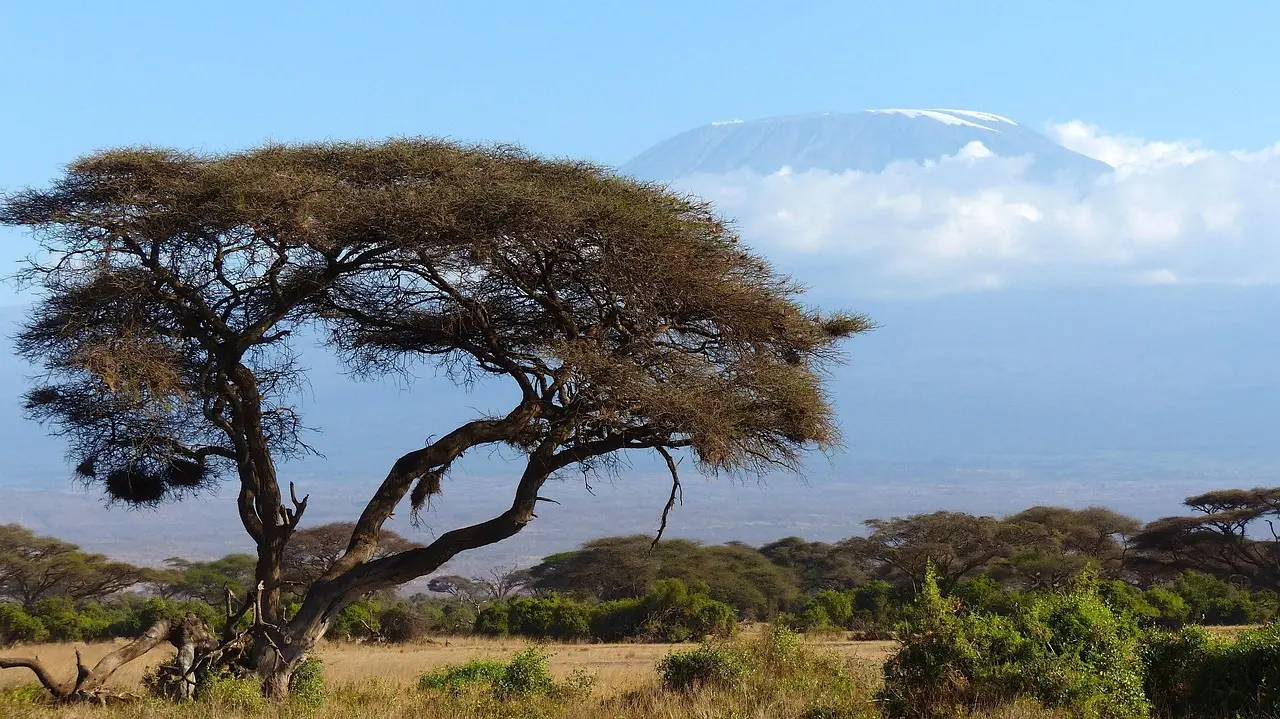 Safari landscapes in Africa on Pesach